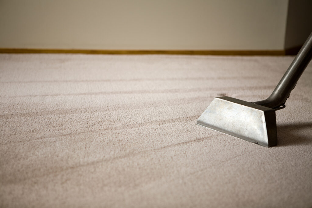 Best Carpet Cleaning Companies in Murphy, Collin County